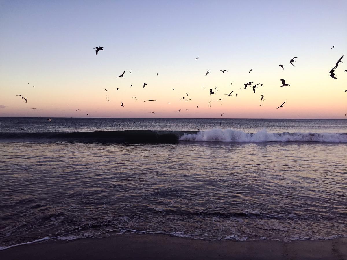 Отель Malibu Попойо Экстерьер фото